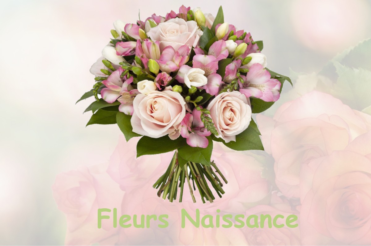 fleurs naissance FRANQUEVIELLE