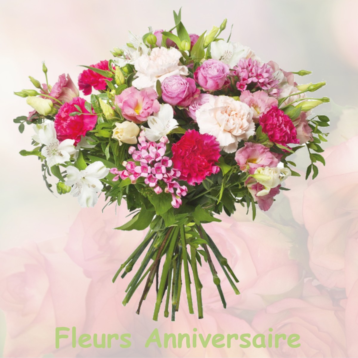 fleurs anniversaire FRANQUEVIELLE