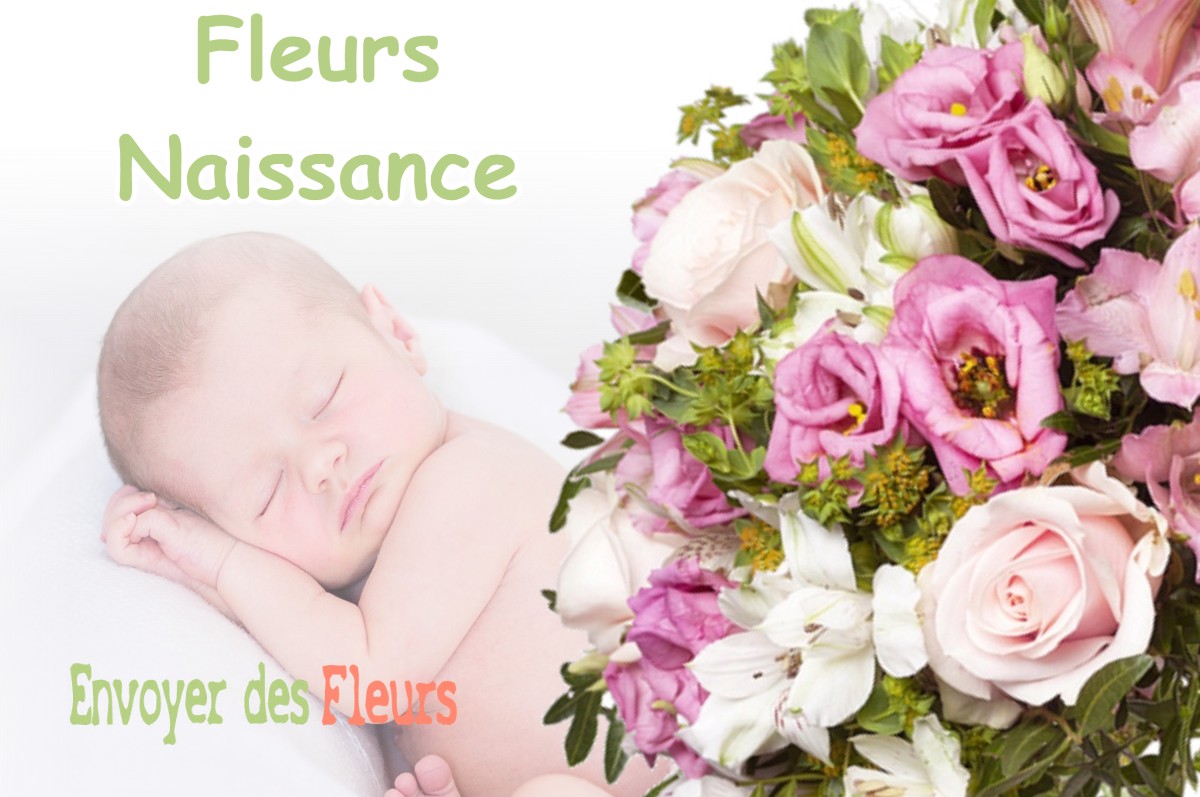 lIVRAISON FLEURS NAISSANCE à FRANQUEVIELLE